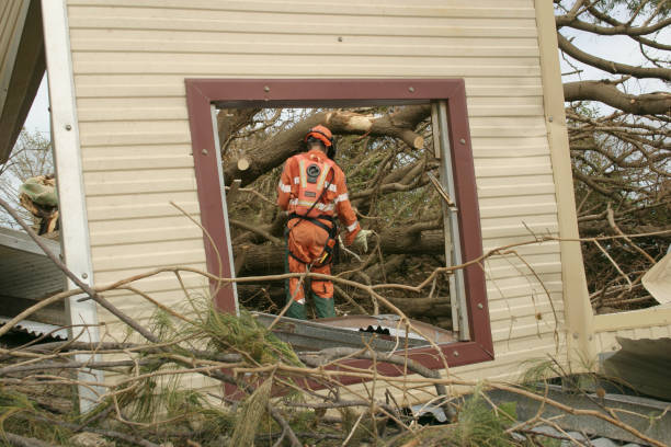 Kewaskum, WI Tree Care Services Company